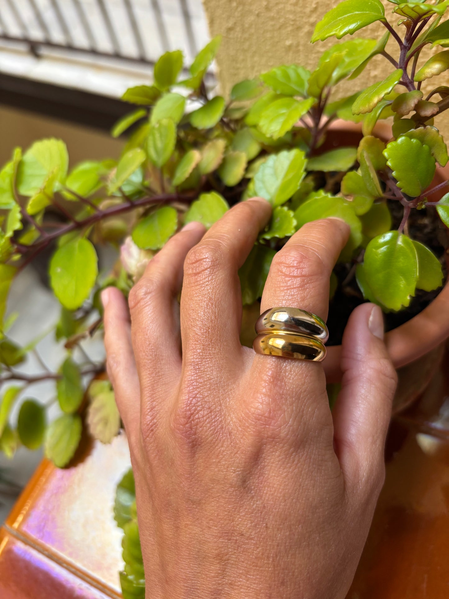 Anillo Bicolor