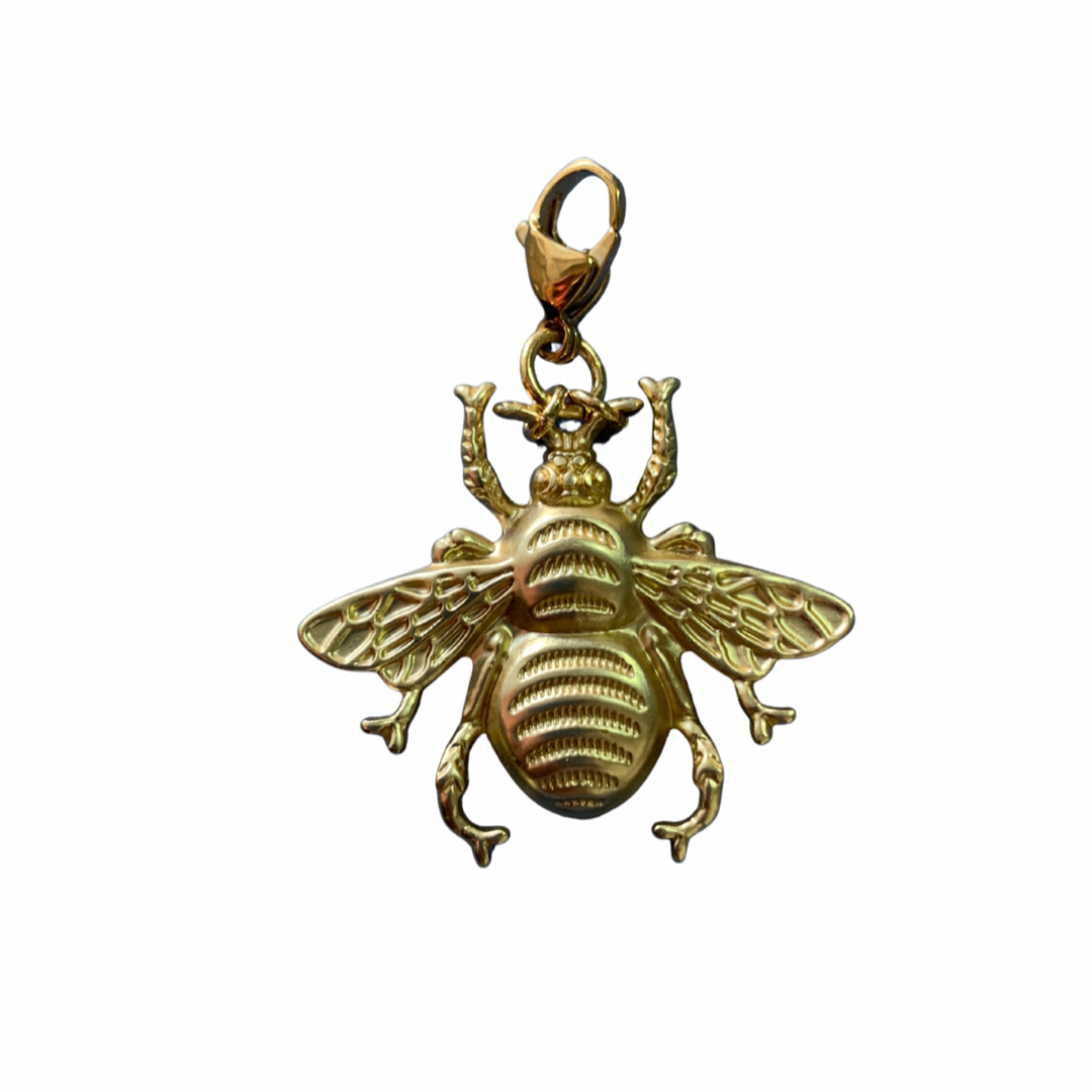 Charm mosca