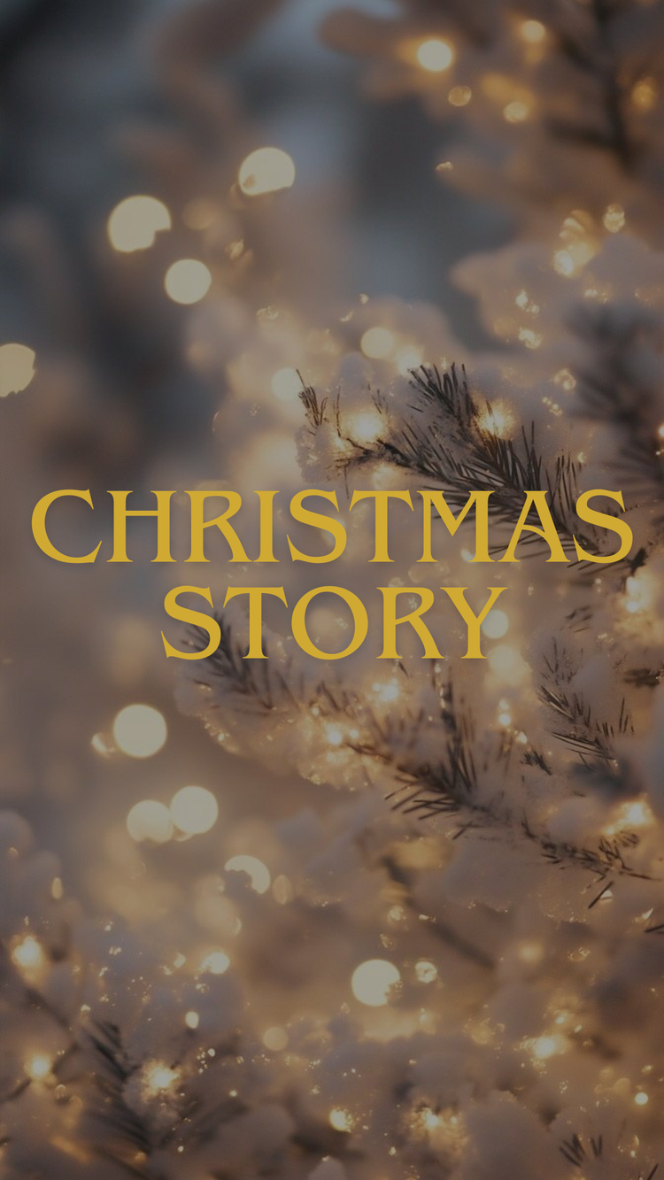 Christmas story ✨