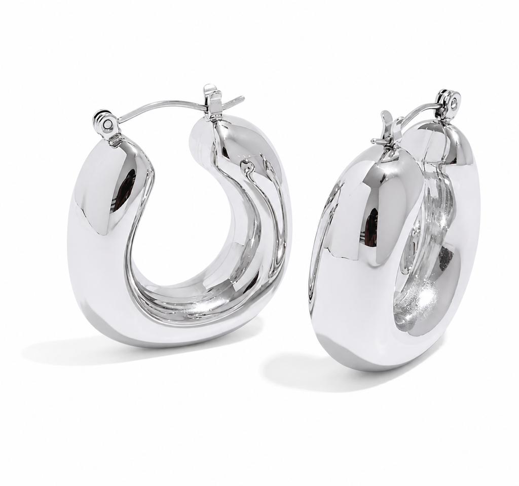 Pendientes Anneaux plata