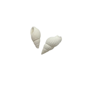 Dije caracola blanca - Plateado
