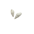 Dije caracola blanca