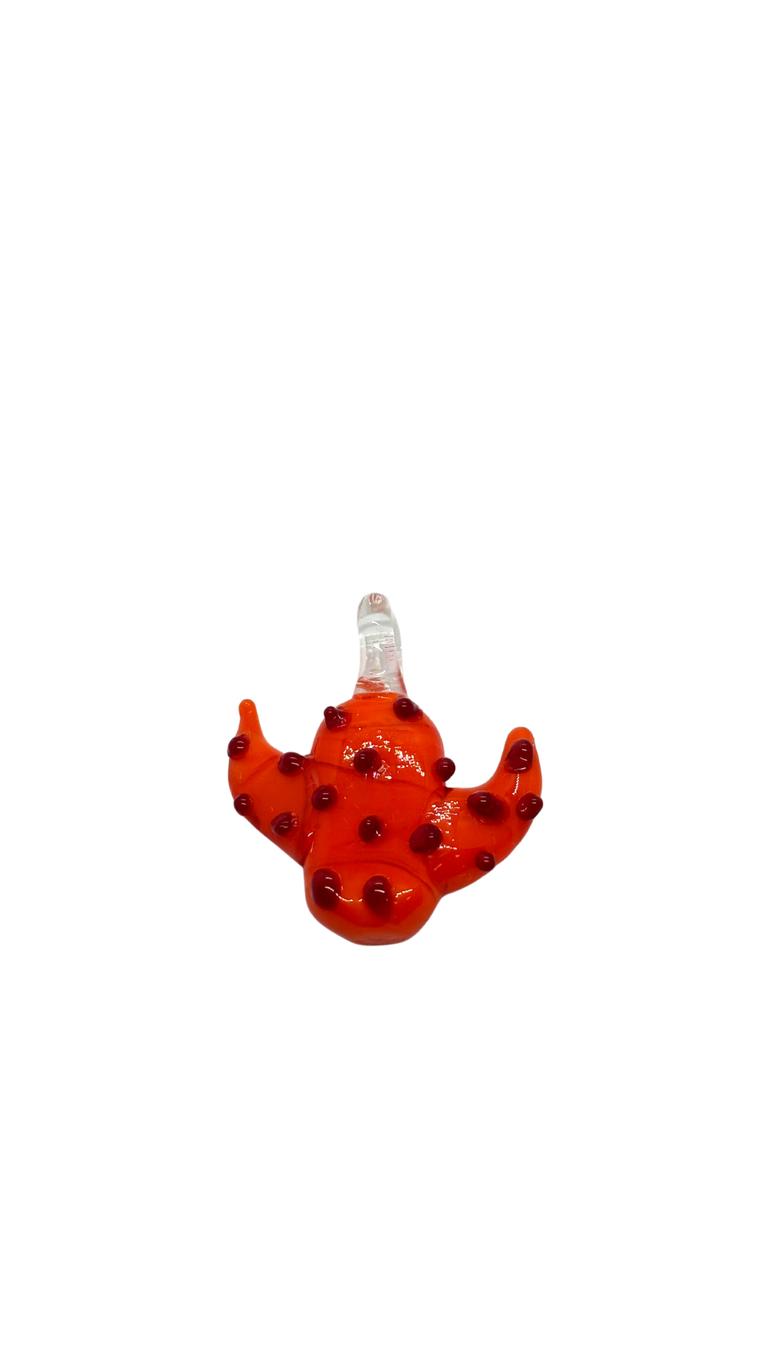 Charm cactus